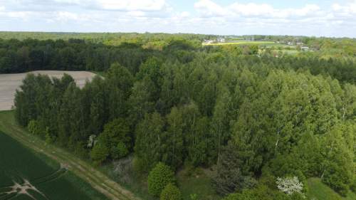 Działka 2,15 ha z potencjałem koło Nałęczowa.