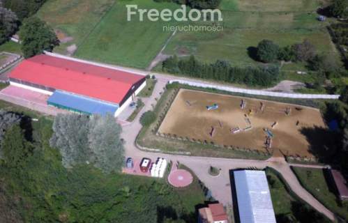 Piękna Stadnina Ośrodek treningu koni sportowych.
