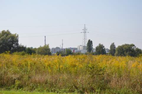 Działka Lublin-Zadębie inwestycyjna/budowlana