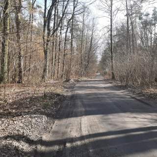 Działka leśna Zgierz Chełmy
