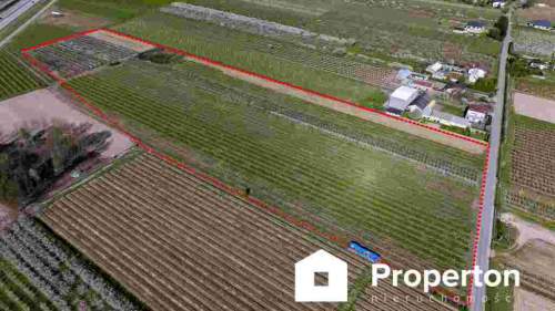 Gospodarstwo sadownicze 6,86 ha Franciszków