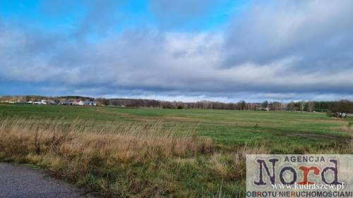 Działka, 12HA, Augustów, Tranport, Usługi,