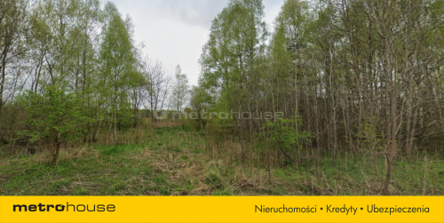 Na sprzedaż działka 2,38ha Kunica Stara