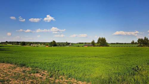 Działka 30ar nieopodal Lublina - Miłocin
