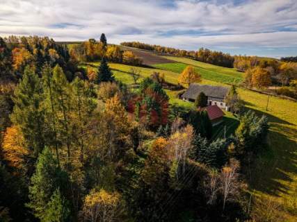 Raj na wsi 6,57ha dom z lasem pod Dębicą