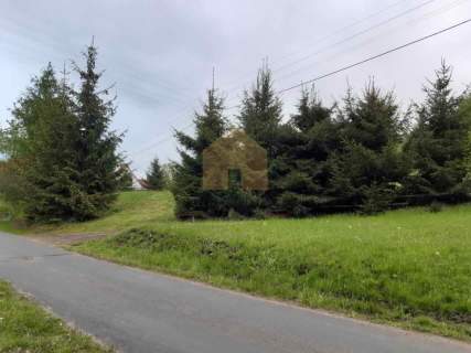 Działka budowlana w Wilczej