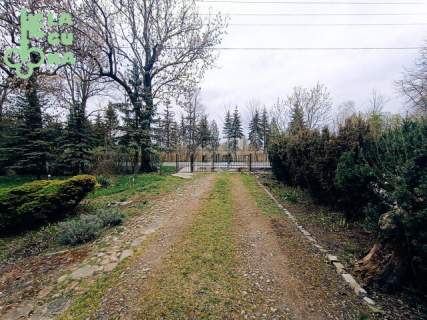 Dom w Kutnie w cenie mieszkania, Działka ok 2500 m2