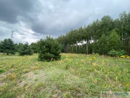 Działka budowlana w Gołąbku 1514m 
