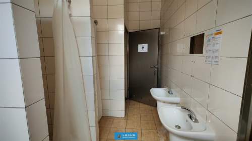 Hala produkcja spożywcza wynajem