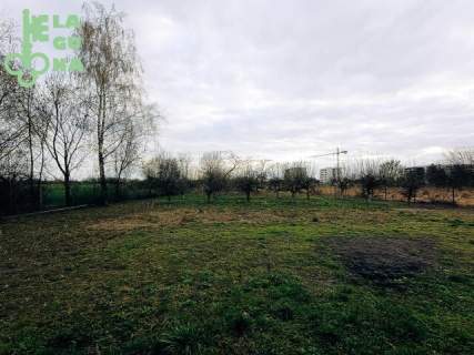 Dom w Kutnie w cenie mieszkania, Działka ok 2500 m2