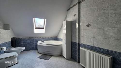 Dom 450 m2 otoczony starodrzewiem
