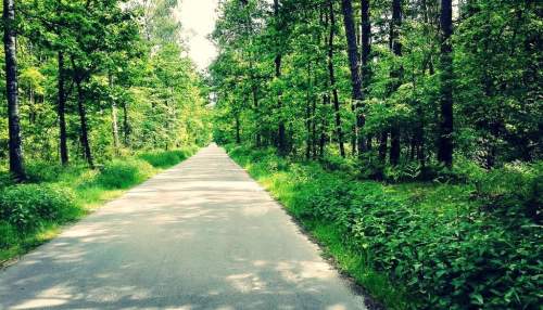 Działka z widokiem na Park Krajobrazowy- wszystkie media