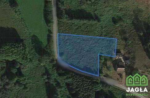 Zielonczyn 2000m2 media, wydane W.Z