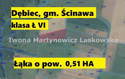 Grunty rolne i łąki - Dębic - Gmina Ścinawa