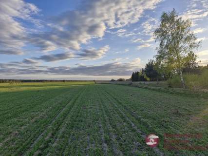 Działka 2601 m2 Wymysły Cisza, Spokój 