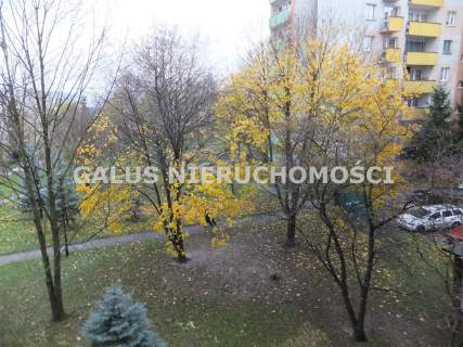 Wysłouchów blok nr 26