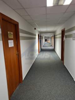 Biuro na wynajem w Centrum