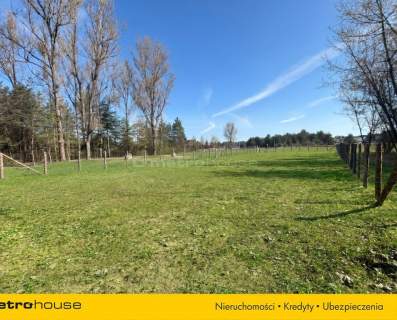 Działka budowlana w Ogrodzieńcu- sercu Jury
