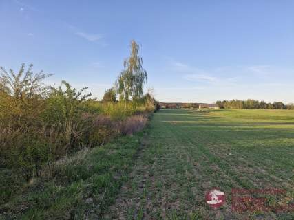 Działka 2601 m2 Wymysły Cisza, Spokój 