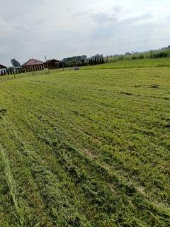 Działka budowlana 1000 m Rochaliki k. Błonia, Nowe osiedle
