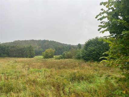 Działka rolna - Świecino