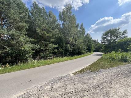 Działka 3117 m2 pośród drzew w Kowali gm. Puławy.