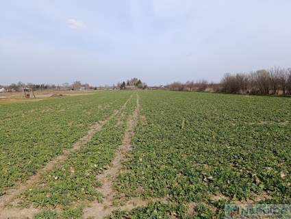 Działka na sprzedaż Stok Lacki Folwark