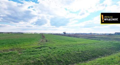 Działka 10 800m2 Łubnice w otoczeniu pól, obok las