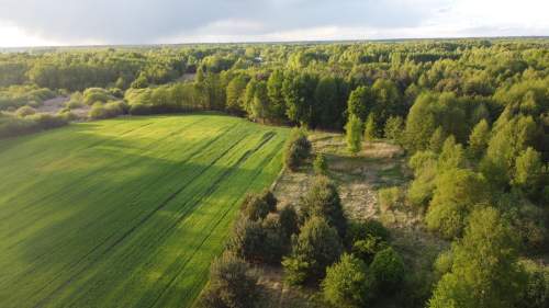 Działka o pow. 1,63 ha w Karolowie gm. Chotcza.