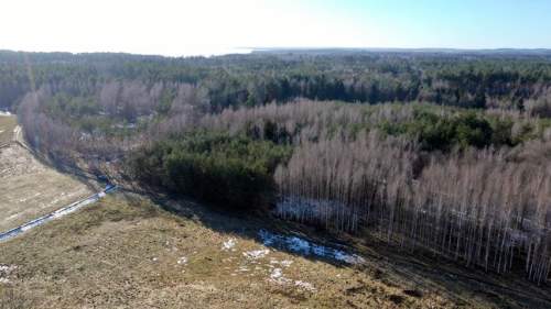 Działka Leśna 2,35 ha Grzegorze gm Orzysz