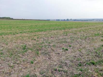Działka inwestycyjna 4,5 ha bezpośrednio przy S12