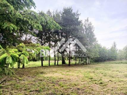 Adamowizna, budowlana