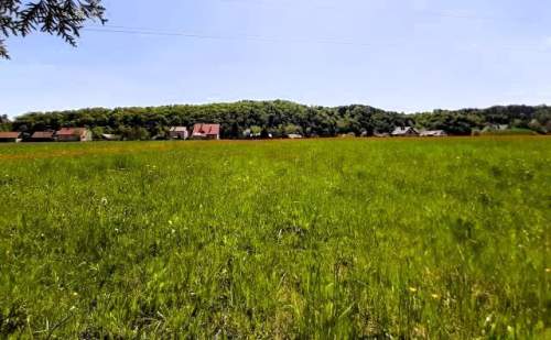 Działka budowlana-Zagórze-Rożnów-Małopolska