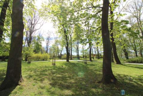 Przestronne, otoczone zielenią, widok na park