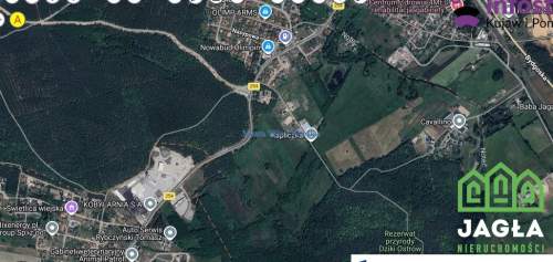 Olimpin Brzoza działka 3125m W.Z kameralna okolica