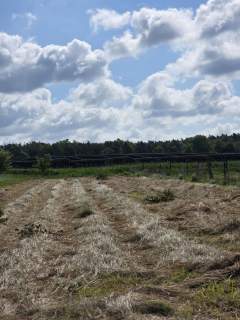 Działka budowlana 1300 m2 Dobrzejów
