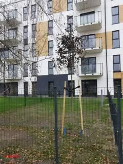 Gotowa garsoniera z ogrodem na Podolanach