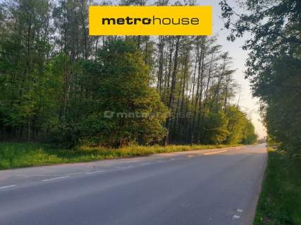 Książenice Działka leśna 4000m2 pod rezydencję