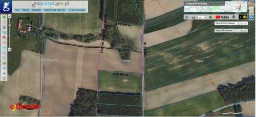 DZIAŁKA STARY KOBRZYNIEC 4,55 HA I ROGÓWKO 1,61 HA
