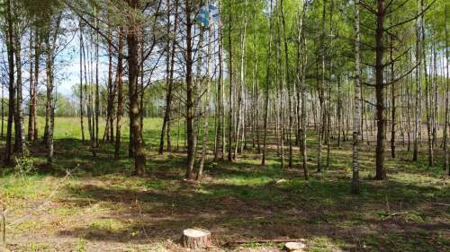 Powstające osiedle domów na kolonii wsi Mokiny.