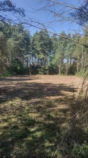 Sprzedam pięknie położoną działkę budowlaną w otoczeniu lasu