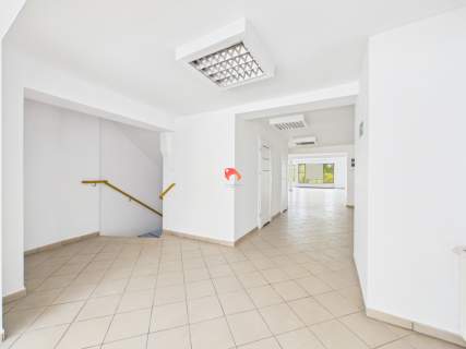 DO WYNAJĘCIA 300m2, WIDOK NA WYSPĘ MŁYŃSKĄ 