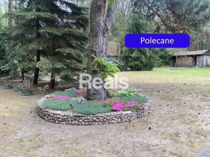 ATRAKCYJNA CENA DOM 1ha RADZIEJOWICE