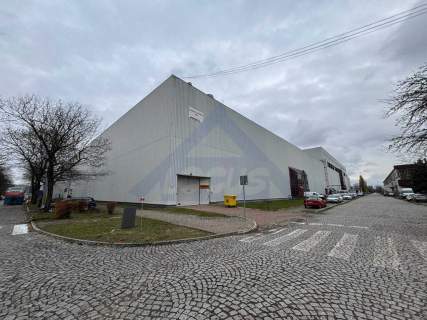 Powierzchnia produkcyjno-magazynowa Praga Północ