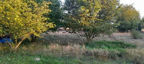 Ładna, uzbrojona działka pod lasem-33a-Wilczopole