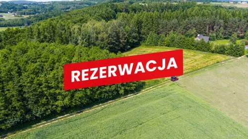 Na sprzedaż działka 79 arów- Domosławice