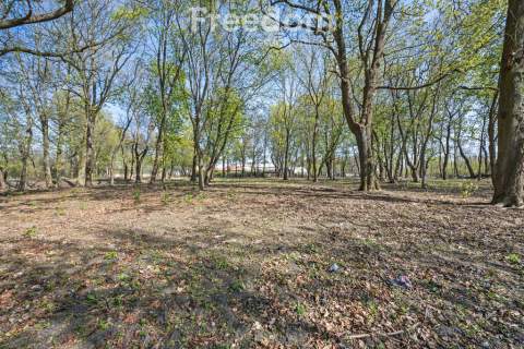 Zabytkowy park 1,2 ha 29 km od Warszawy