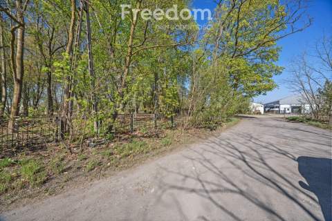 Zabytkowy park 1,2 ha 29 km od Warszawy