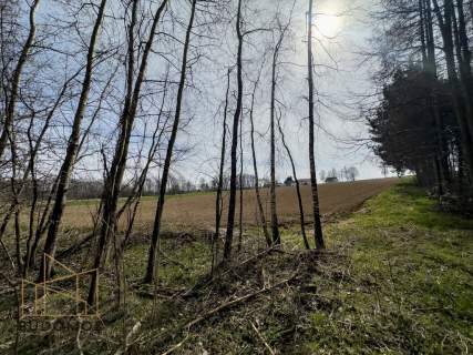 Widokowa działka - Buchcice nieopodal Tuchowa.