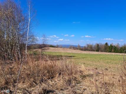 Widokowa działka - stadnina koni, agroturystyka 